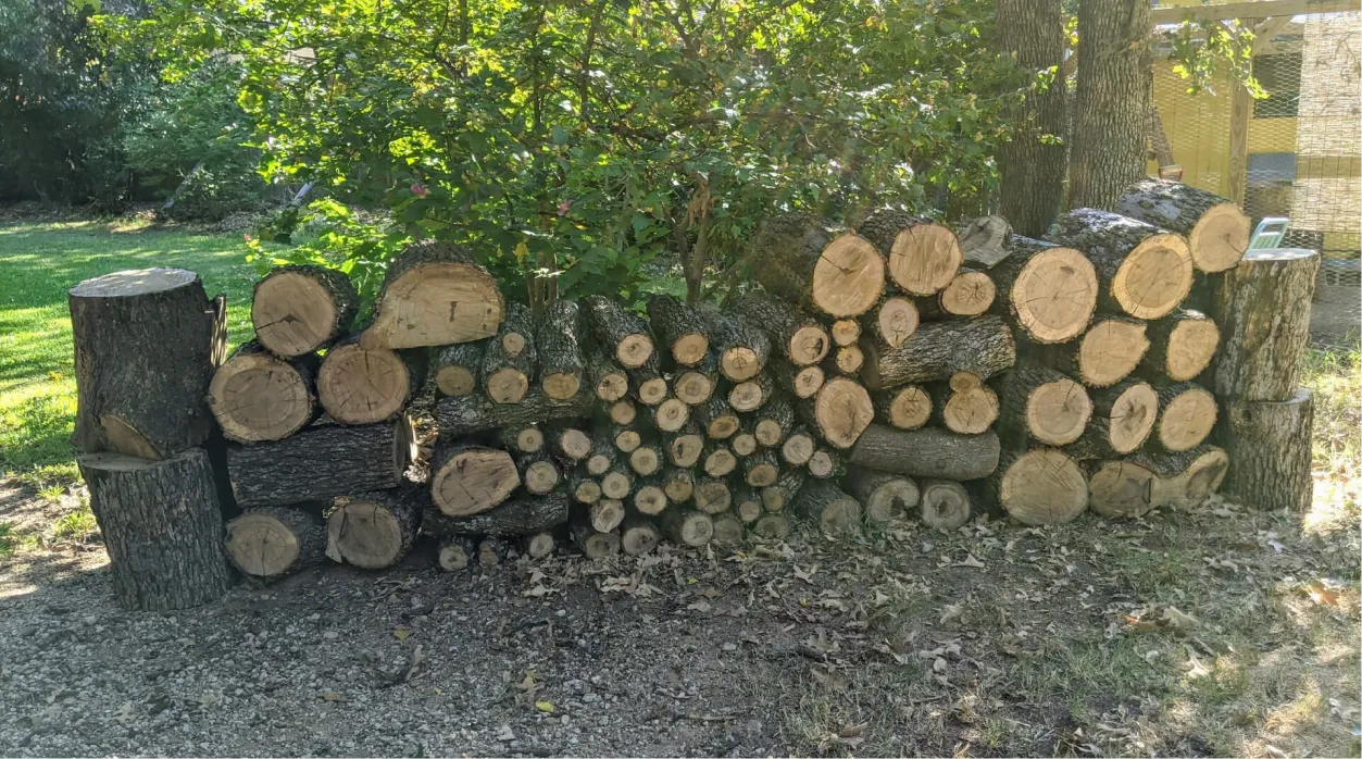 Firewood