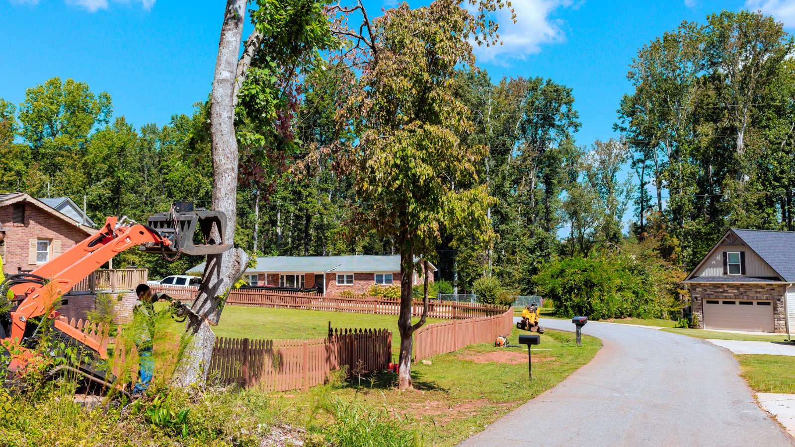 Tree Services